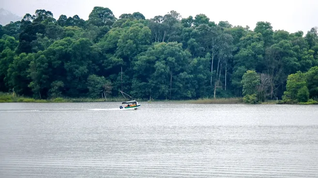 Phát hiện cá thể rùa cái Hoàn Kiếm quý hiếm ở hồ Đồng Mô ảnh 2