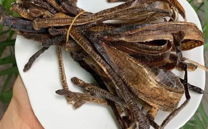 Dùng giun đất chữa Covid-19 là thông tin không có cơ sở khoa học ảnh 1