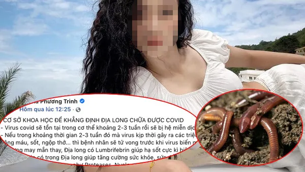 Dùng giun đất chữa Covid-19 là thông tin không có cơ sở khoa học ảnh 2