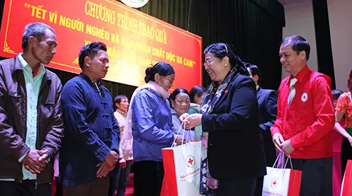 Cùng nhắn tin ủng hộ chương trình "Tết vì người nghèo và nạn nhân chất độc da cam" ảnh 1