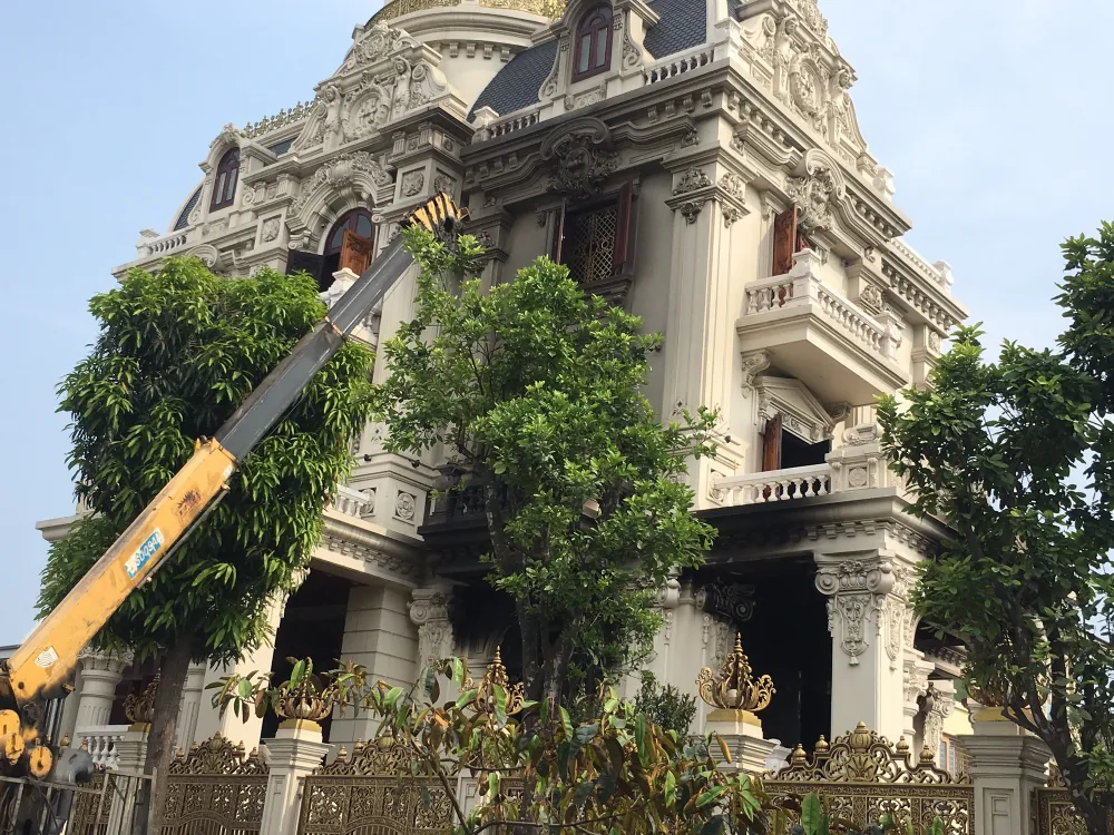 Cháy biệt thự của đại gia đất mỏ, 1 phụ nữ thiệt mạng ảnh 2