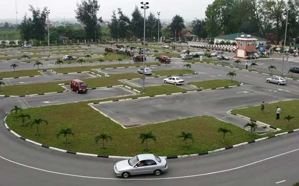 Sự thật về đề xuất thu hồi giấy phép lái xe của hơn 4.000 người tâm thần ảnh 1