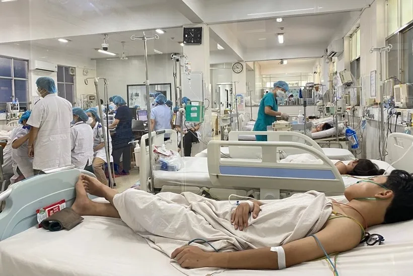 Ca mắc sốt xuất huyết tăng tới 300%, lưu ý để tránh biến chứng nặng ảnh 1