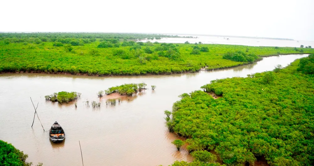 Một khu vực ngập nước tại Vườn quốc gia Xuân Thủy