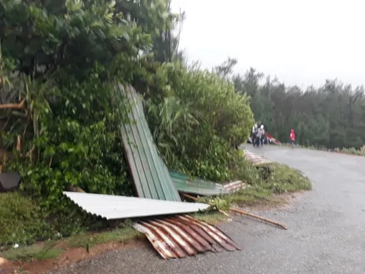 Những thiệt hại ban đầu bão số 4 gây ra tại Quảng Trị, Hà Tĩnh  ảnh 11