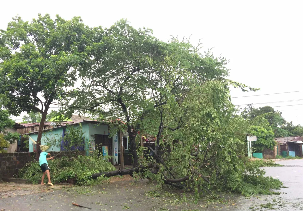 Những thiệt hại ban đầu bão số 4 gây ra tại Quảng Trị, Hà Tĩnh  ảnh 12