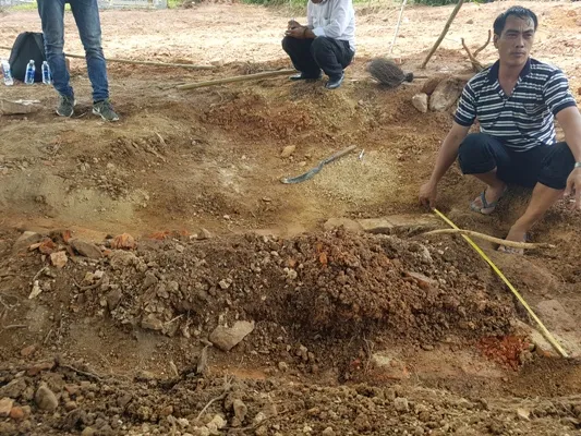 Vụ san ủi mộ vợ vua Tự Đức: Nhiều nhà báo hiến kế giải quyết sự việc ảnh 1