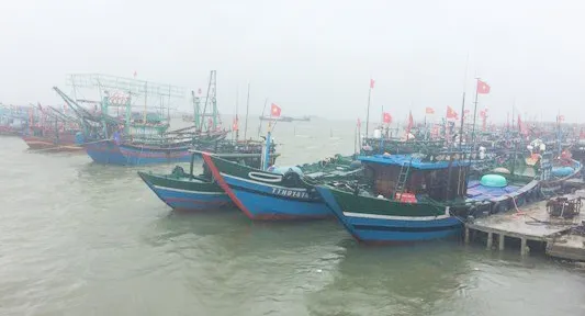 100% tàu thuyền của ngư dân Thừa Thiên – Huế đã vào bờ tránh bão số 4.