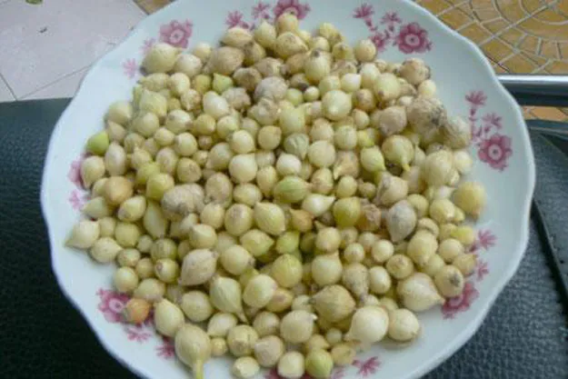 Vì sao cô chủ nhiệm tiếp sức Quán quân Olympia bằng... tô cháo vạt giường? ảnh 10