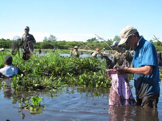 Độc đáo lễ hội “Phá Trằm” ở Quảng Trị ảnh 6