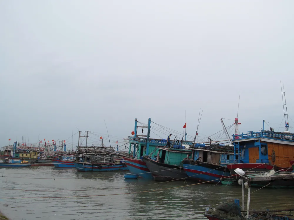 Hàng ngàn tàu thuyền, hàng chục ngàn lao động trên biển có kịp vào bờ “chạy” bão? ảnh 11