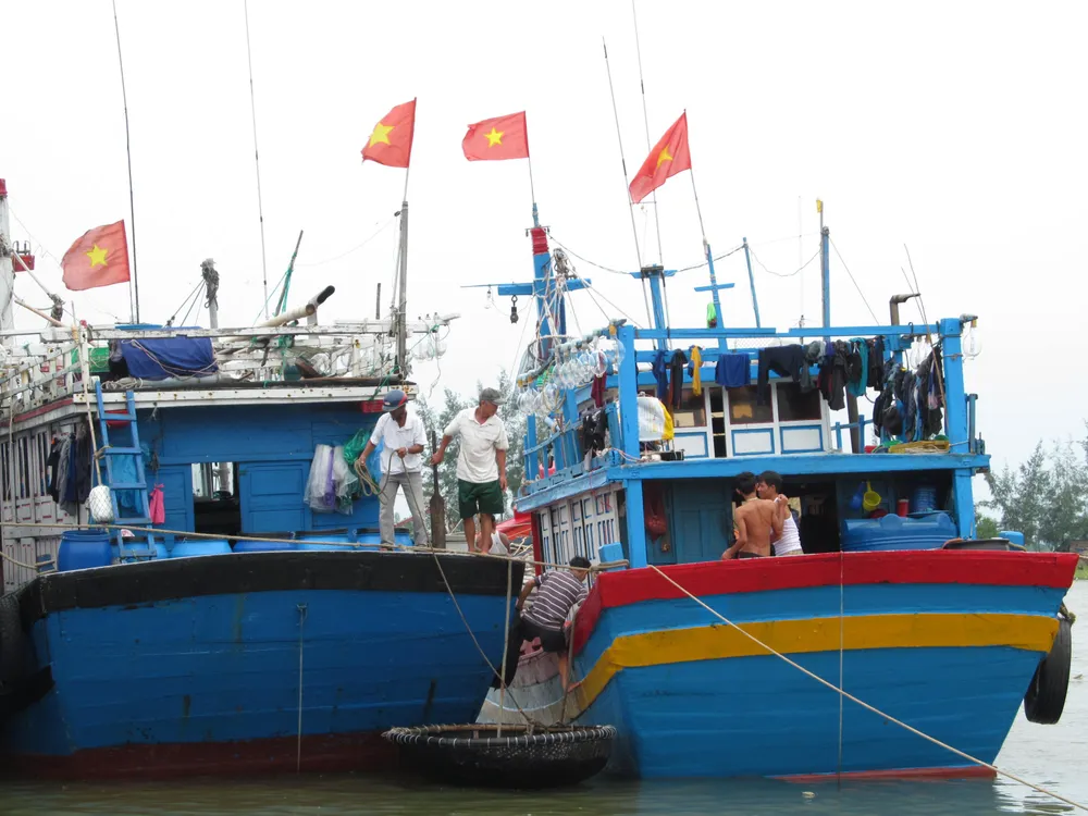 Hàng ngàn tàu thuyền, hàng chục ngàn lao động trên biển có kịp vào bờ “chạy” bão? ảnh 10