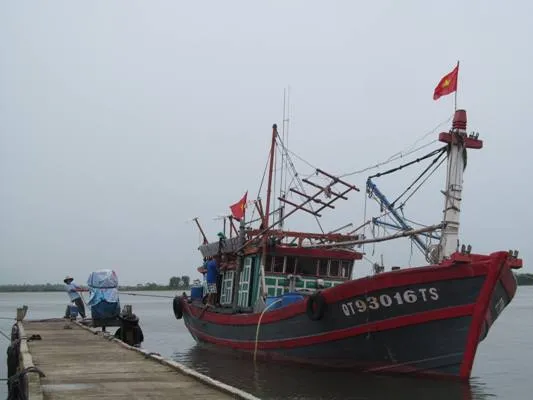 Hàng ngàn tàu thuyền, hàng chục ngàn lao động trên biển có kịp vào bờ “chạy” bão? ảnh 12