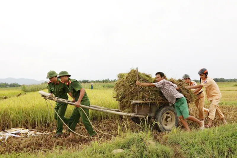 Hàng ngàn tàu thuyền, hàng chục ngàn lao động trên biển có kịp vào bờ “chạy” bão? ảnh 4