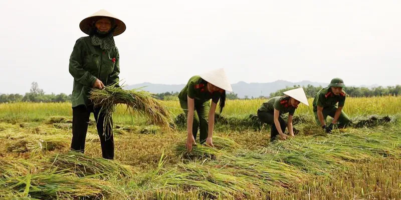 Hàng ngàn tàu thuyền, hàng chục ngàn lao động trên biển có kịp vào bờ “chạy” bão? ảnh 3