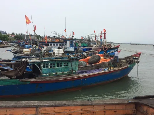 Hàng ngàn tàu thuyền, hàng chục ngàn lao động trên biển có kịp vào bờ “chạy” bão? ảnh 1