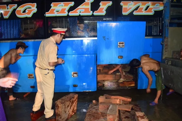 Gỗ hương lậu giấu kín dưới gầm xe