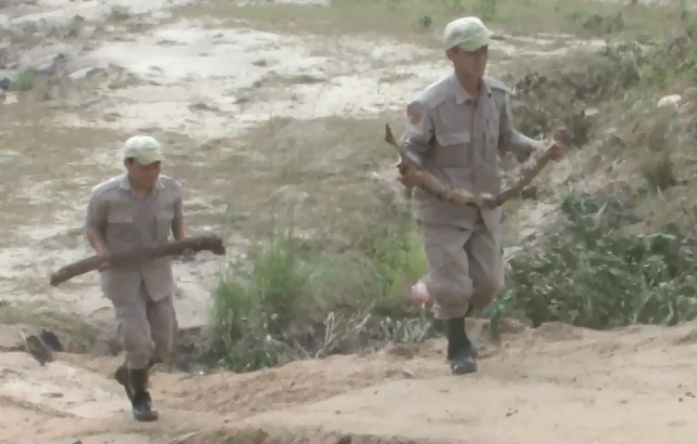 Lực lượng chức năng di chuyển số bom bi về bãi tiêu hủy