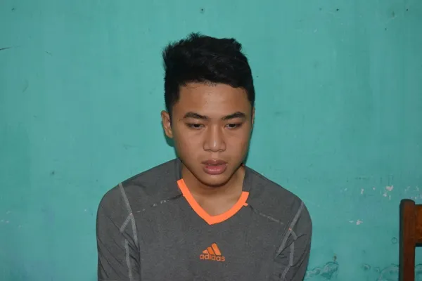 Thuê xe cẩu trộm 12 cây gỗ kiền và sao xanh bán lấy tiền đánh bạc ảnh 1