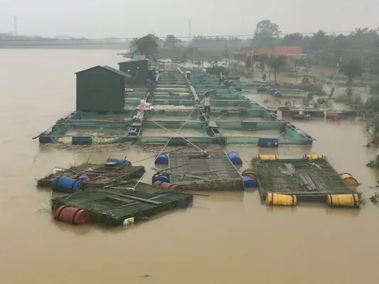 Nước mắt rơi giữa dòng lũ dữ  ảnh 3