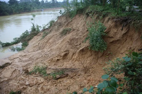 Sạt lở sông Hương uy hiếp Trường tiểu học Hương Thọ  ảnh 4