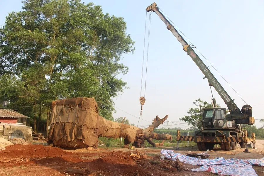  Phạt chủ cây "khủng" 750.000 đồng ảnh 4