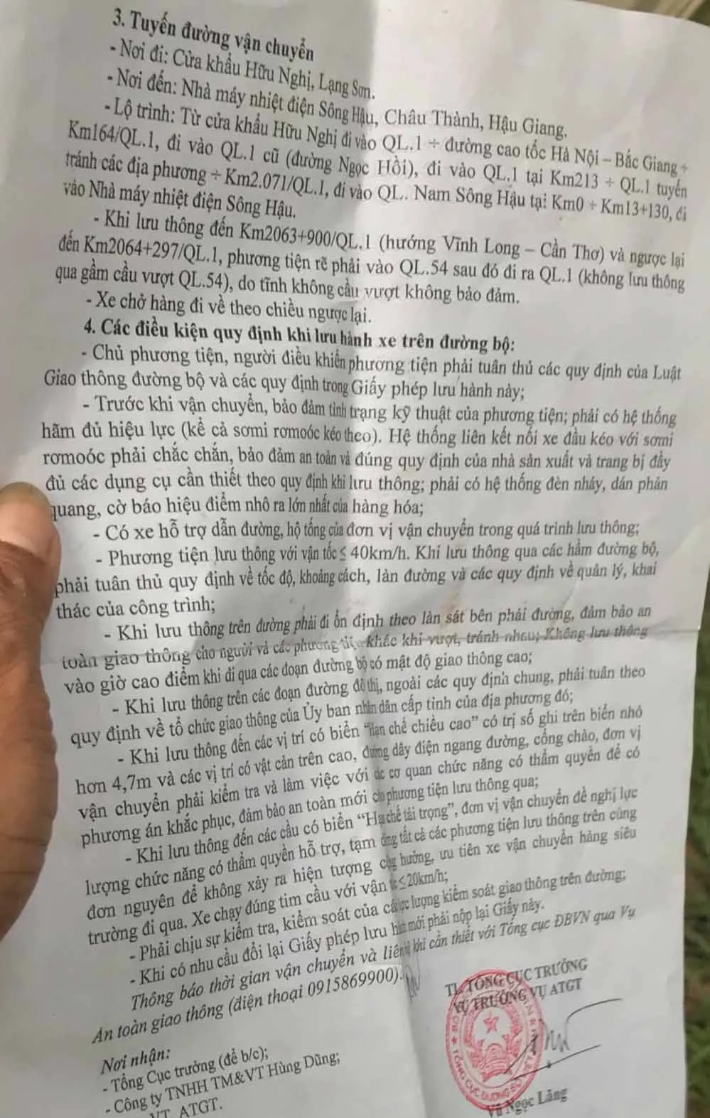 Vì sao 3 cây cổ thụ “khủng” vẫn chưa thể rời Thừa Thiên - Huế? ảnh 3