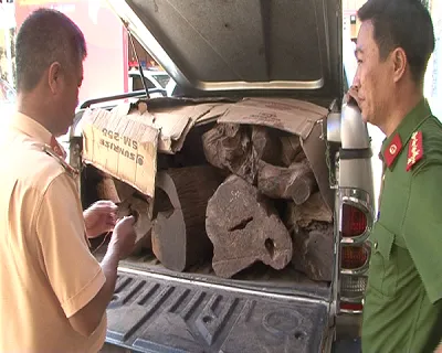 Liên tục phát hiện 2 ô tô vận chuyển gỗ lim, gỗ trắc trái phép ảnh 1