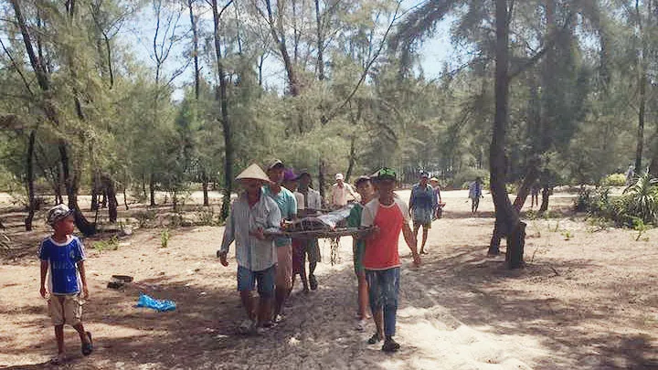 Phát hiện cá hố rồng dài hơn 4m ảnh 1