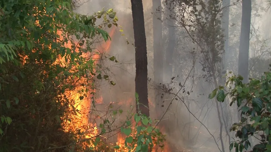 Người dân miền Trung vật vã trong nắng nóng  ảnh 7