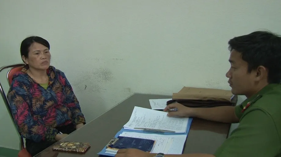 Phát hiện 11 con nhím hoang dã ảnh 1