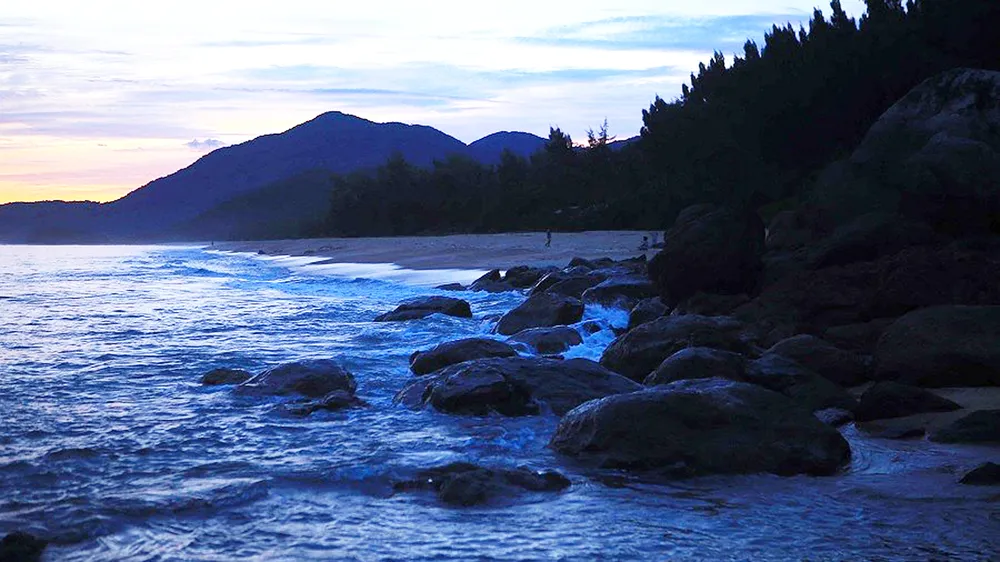 Đi dự sinh nhật thầy dạy võ, 5 học sinh bị sóng biển cuốn trôi ảnh 1