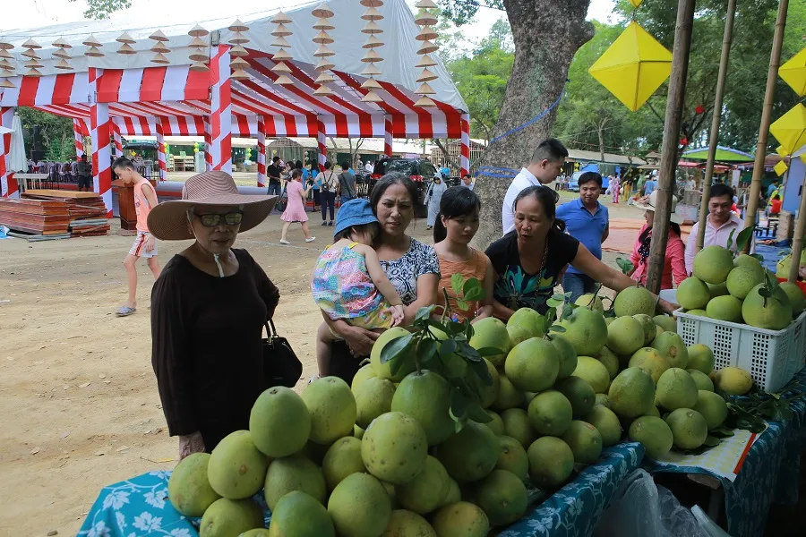 Độc đáo lễ hội Thanh trà – hương vị xứ Huế ảnh 1