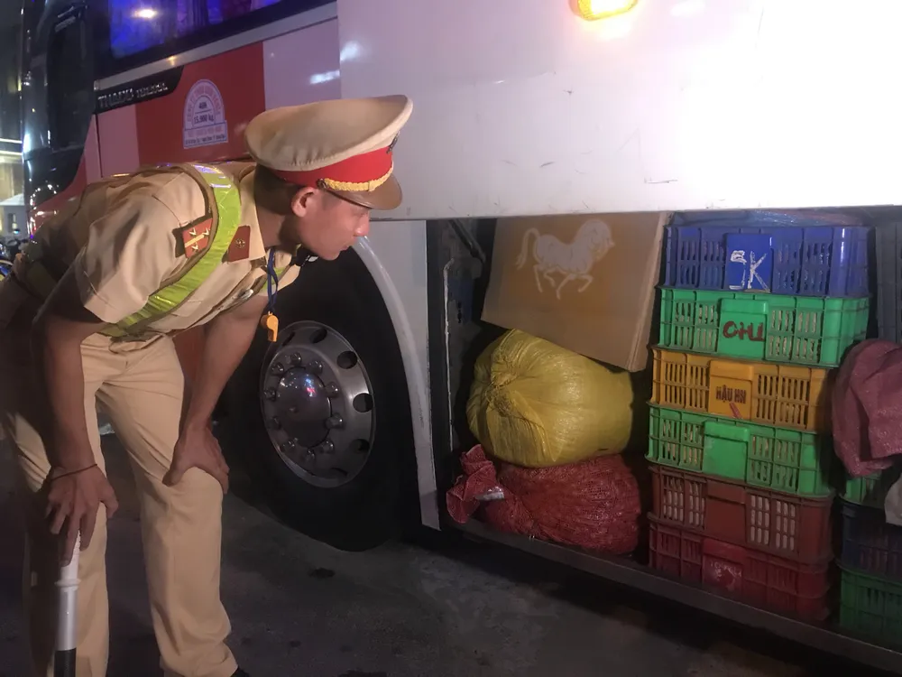 Phát hiện hàng ngàn cá thể rắn dưới hầm xe khách giường nằm ảnh 2