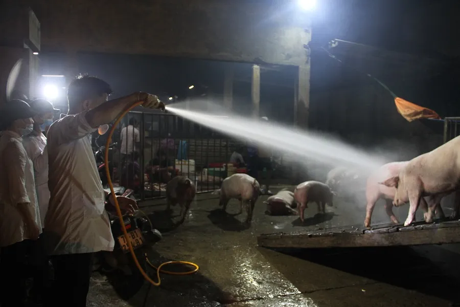 Chủ tịch UBND tỉnh Thừa Thiên – Huế kiểm tra chốt kiểm dịch lúc nửa đêm ảnh 3