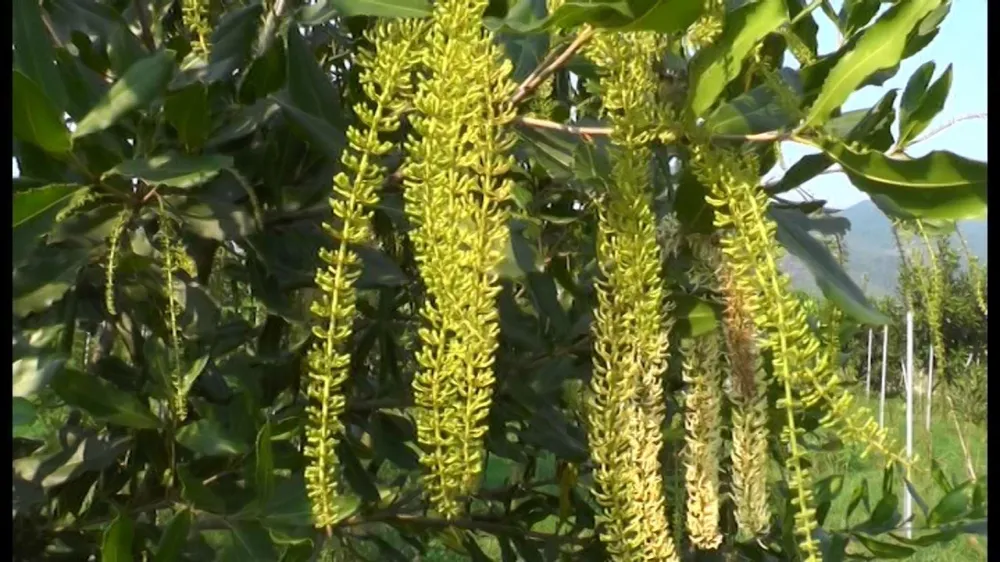 Cách hết chức vụ trong Đảng đối với Trưởng phòng TN-MT huyện Hướng Hóa, Quảng Trị ảnh 1