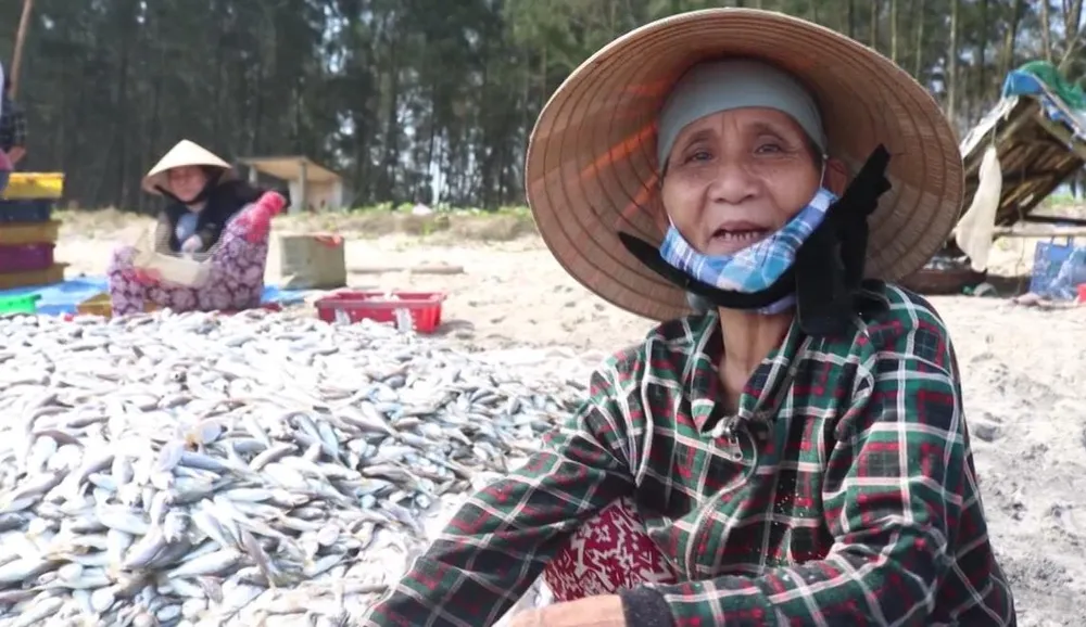 Video: Kéo “lưới rồng” bắt 2 tấn cá  ảnh 2