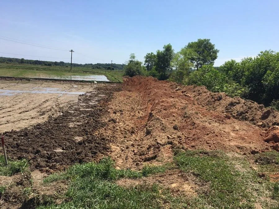 Chủ tịch xã chỉ đạo doanh nghiệp ủi lấp ruộng lúa non của nông dân? ảnh 4