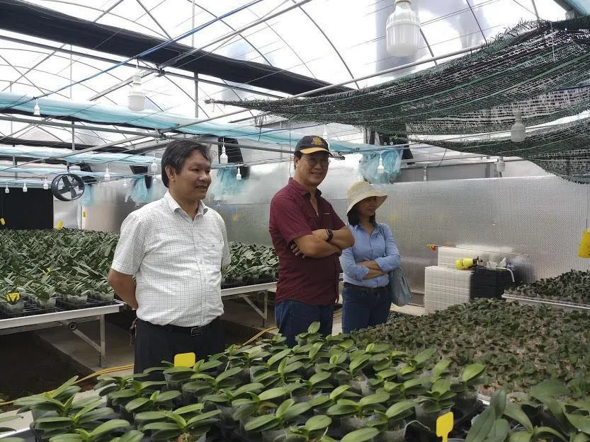 Lan hồ điệp bén rễ trên đỉnh Sa Mù ảnh 1