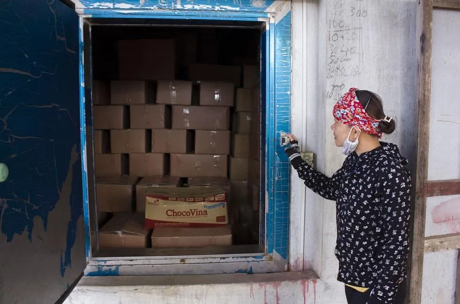 Hàng trăm tấn cá khô ứ đọng tại Quảng Trị ảnh 1