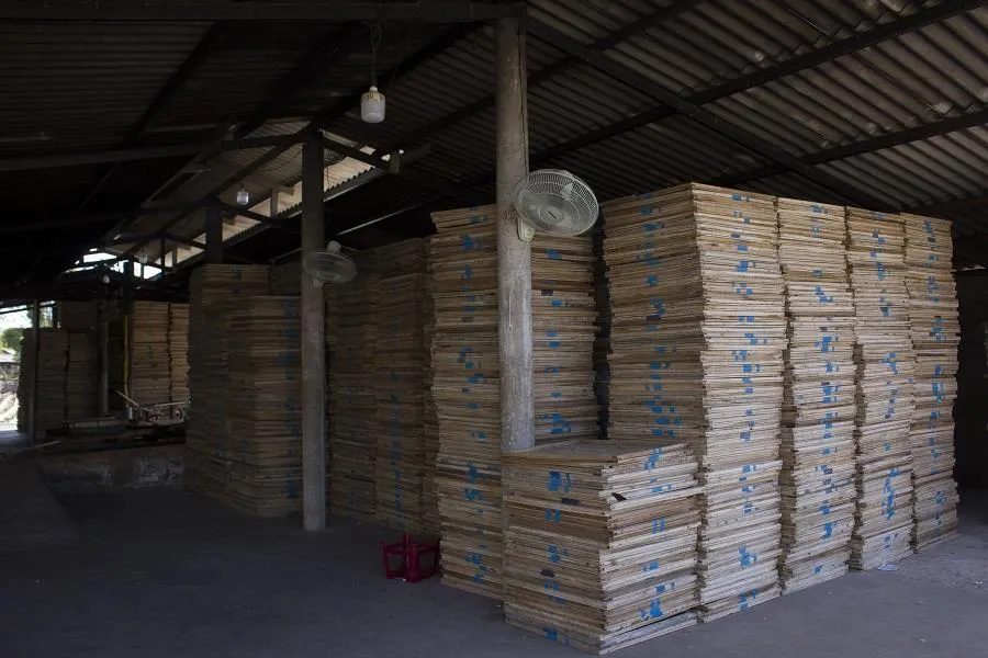 Hàng trăm tấn cá khô ứ đọng tại Quảng Trị ảnh 3