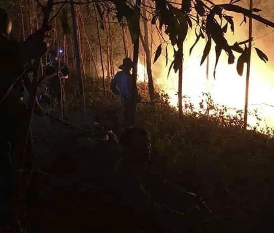 Cháy rừng ở Quảng Trị, hàng trăm người dập lửa  ảnh 1