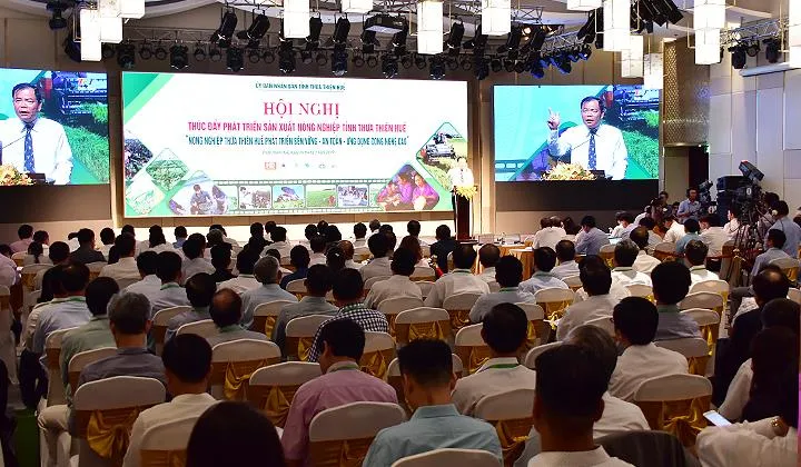 Xây dựng nền nông nghiệp đặc sản gắn với chuỗi ẩm thực Huế ảnh 2