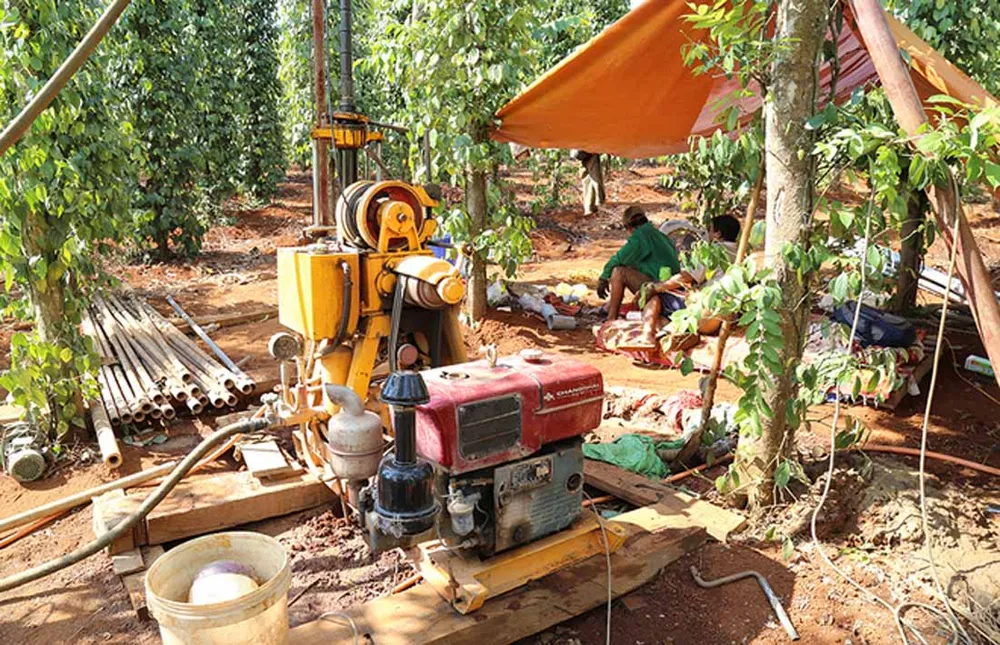 Cây lương thực khô cháy, chết dần vì hạn hán kéo dài ở khu vực Trung Trung bộ ảnh 12