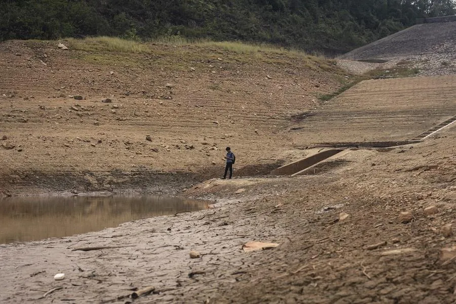 Cây lương thực khô cháy, chết dần vì hạn hán kéo dài ở khu vực Trung Trung bộ ảnh 4
