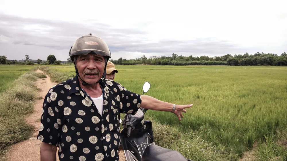 Cây lương thực khô cháy, chết dần vì hạn hán kéo dài ở khu vực Trung Trung bộ ảnh 9