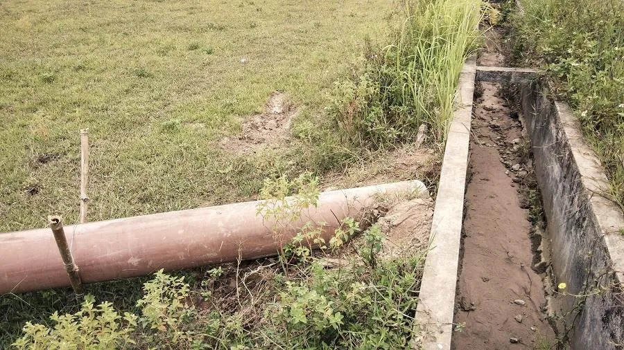 Cây lương thực khô cháy, chết dần vì hạn hán kéo dài ở khu vực Trung Trung bộ ảnh 11