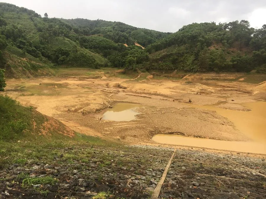 Cây lương thực khô cháy, chết dần vì hạn hán kéo dài ở khu vực Trung Trung bộ ảnh 6