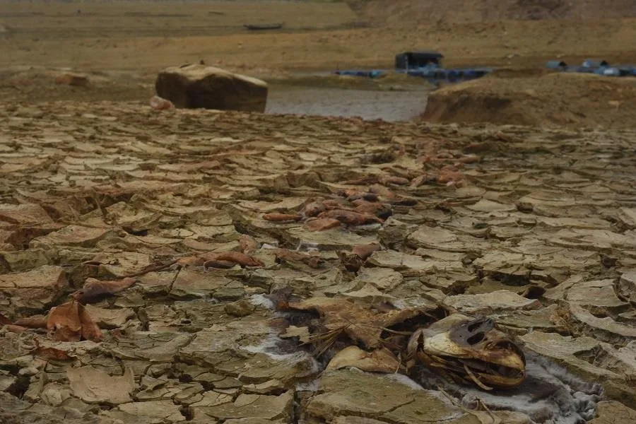 Hồ thủy lợi cạn nước, thủy điện dừng phát điện ảnh 4