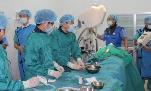 Mỗi năm có 165.000 ca mắc mới và 115.000 bệnh nhân tử vong do ung thư ảnh 1